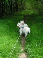 Klik op de foto voor groter formaat